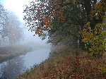 Herbst bei dem Fluss
